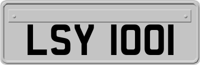 LSY1001