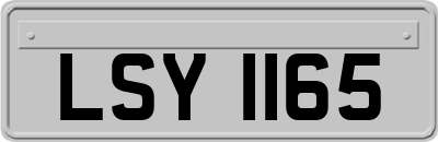 LSY1165