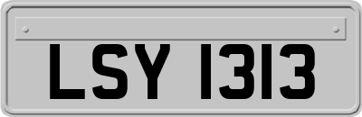 LSY1313