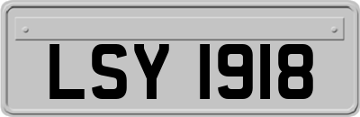 LSY1918