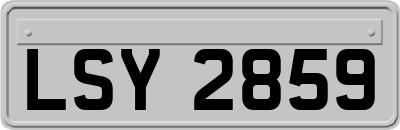 LSY2859