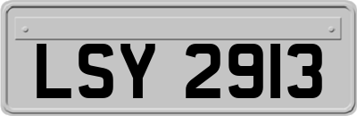 LSY2913