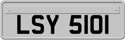 LSY5101