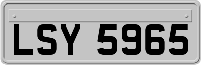 LSY5965