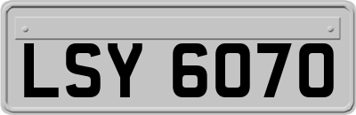 LSY6070