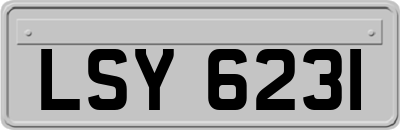 LSY6231