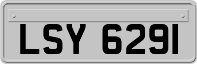 LSY6291
