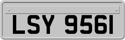 LSY9561