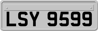 LSY9599
