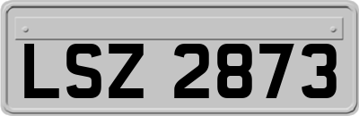 LSZ2873