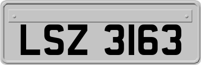 LSZ3163