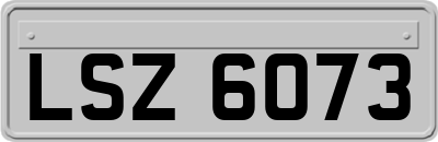 LSZ6073