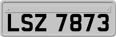 LSZ7873