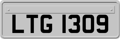 LTG1309