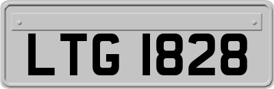 LTG1828