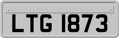 LTG1873