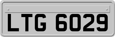 LTG6029