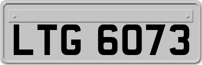 LTG6073