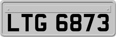 LTG6873