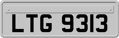 LTG9313