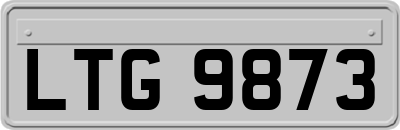 LTG9873