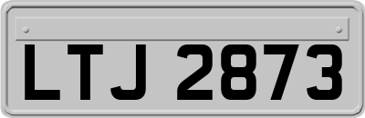 LTJ2873