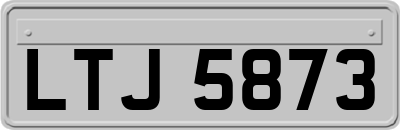 LTJ5873