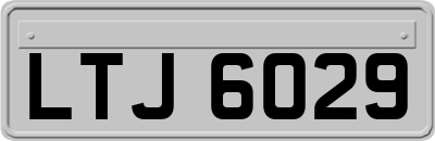LTJ6029