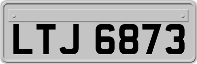 LTJ6873