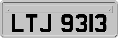 LTJ9313