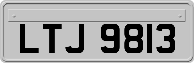 LTJ9813