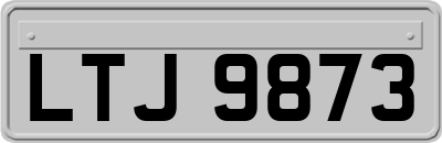 LTJ9873