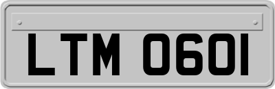 LTM0601