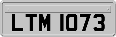 LTM1073