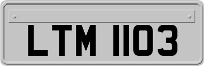 LTM1103