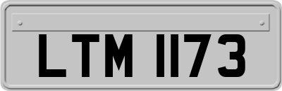 LTM1173