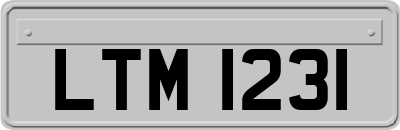 LTM1231