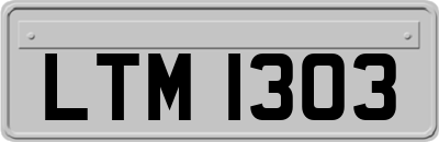 LTM1303
