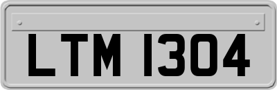 LTM1304