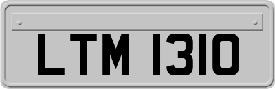 LTM1310