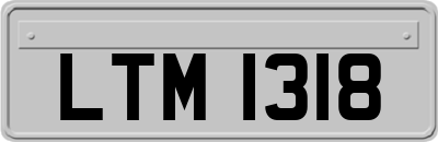 LTM1318
