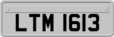 LTM1613