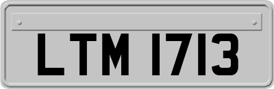 LTM1713