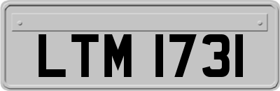 LTM1731