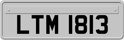 LTM1813