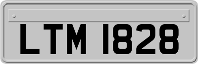 LTM1828