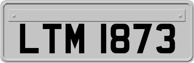 LTM1873