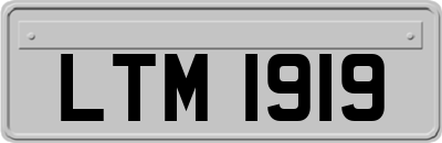LTM1919
