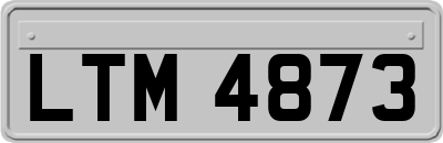LTM4873