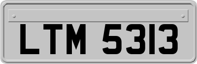 LTM5313